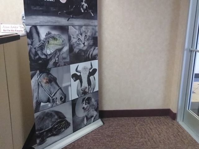 Photo of Vet Tech Institute of Houston