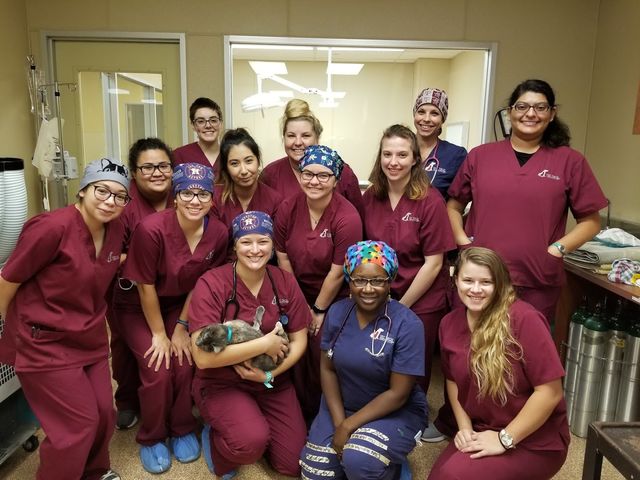 Photo of Vet Tech Institute of Houston