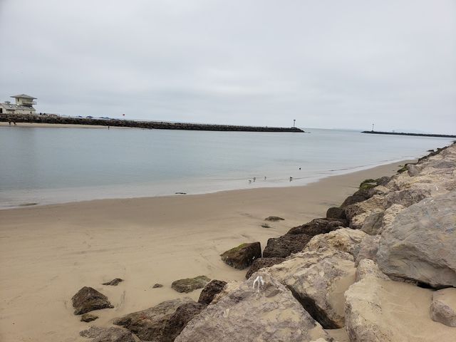 Photo of Ventura College