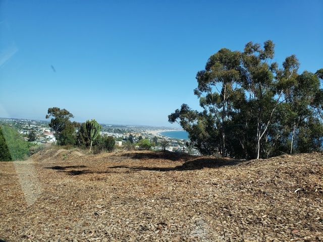 Photo of Ventura College