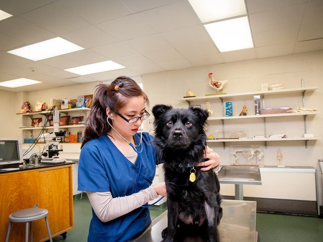 Photo of Vermont Technical College