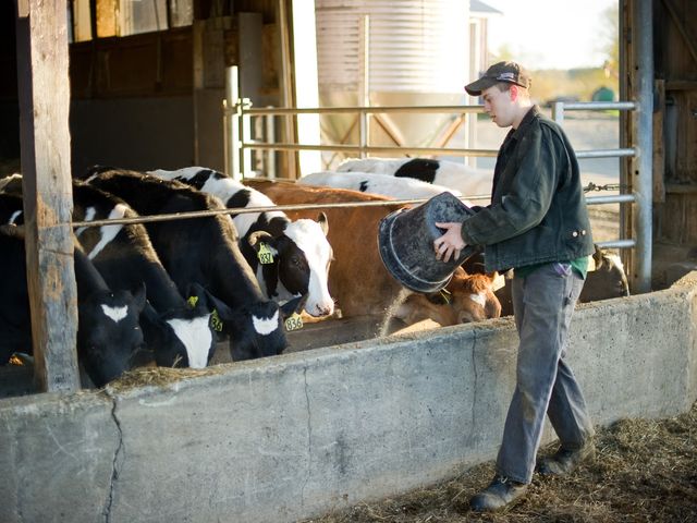 Photo of Vermont Technical College