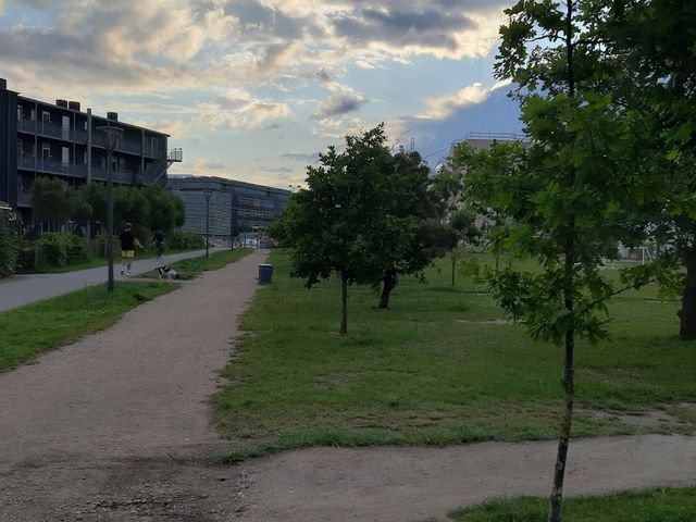 Photo of Vibenshus Skole