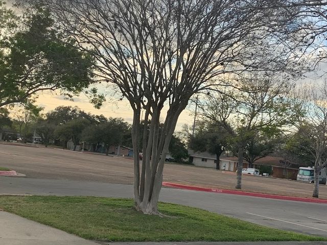 Photo of Victoria College