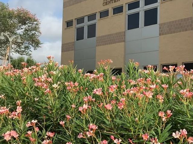 Photo of Victoria College