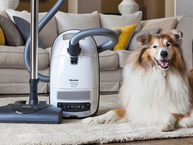 Photo of Virginia Sewing Machines and School Center