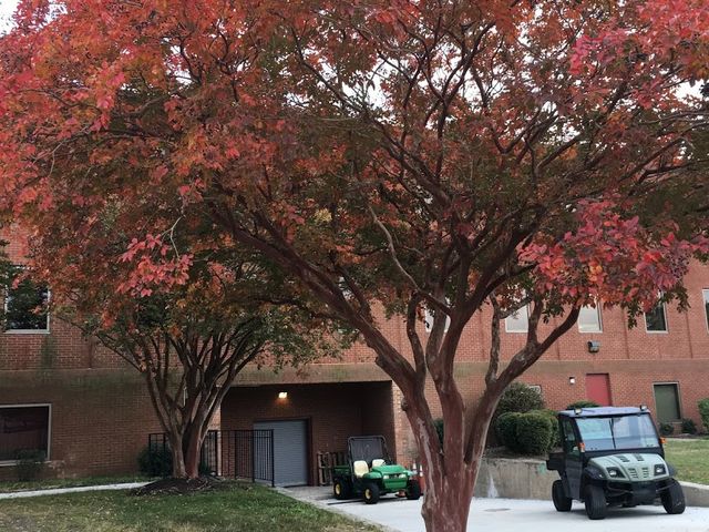 Photo of Virginia State University