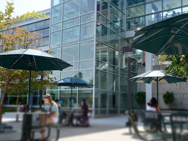 Photo of Virginia Western Community College