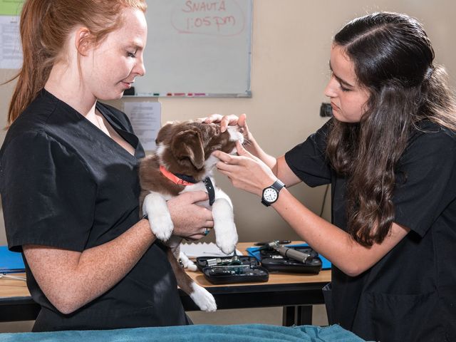 Photo of Vista College Amarillo