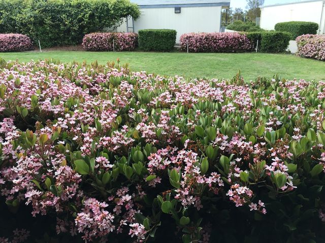 Photo of Vista Adult School