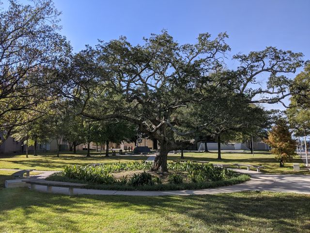 Photo of Xavier University of Louisiana