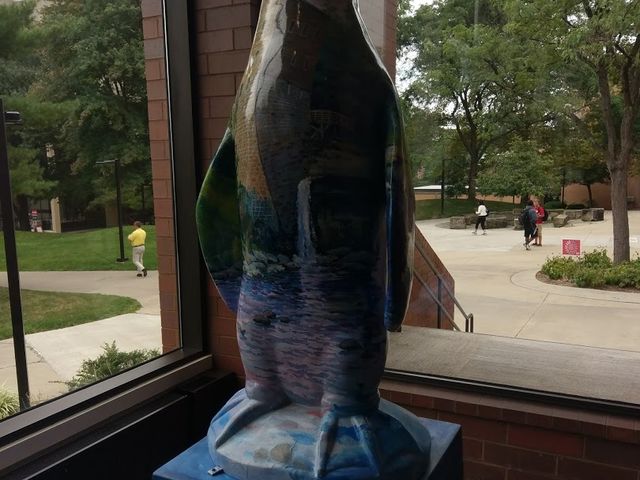 Photo of Youngstown State University