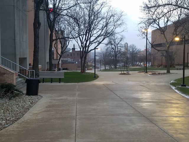 Photo of Youngstown State University