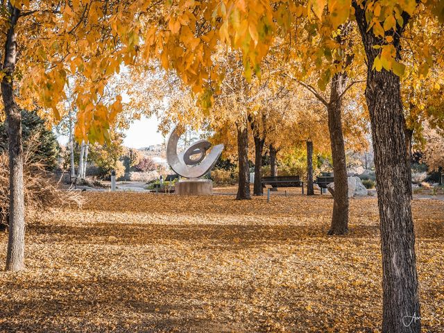 Photo of Yavapai College