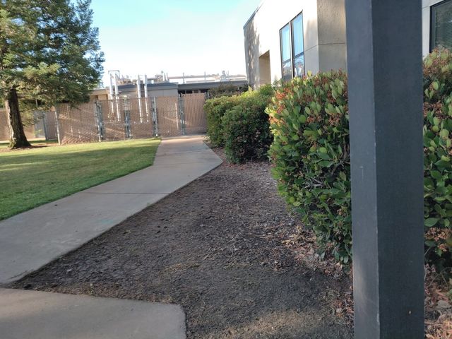 Photo of Yuba College